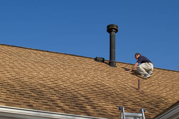 Best Roof Moss and Algae Removal  in Seagoville, TX